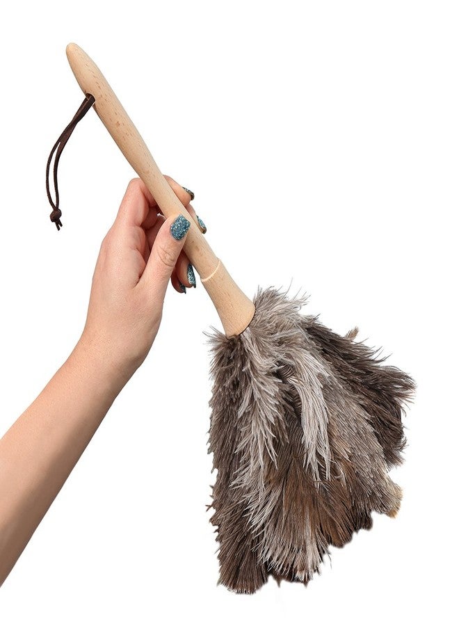 Home-X Ostrich Feather Duster, Wood Handle Duster - Image 1