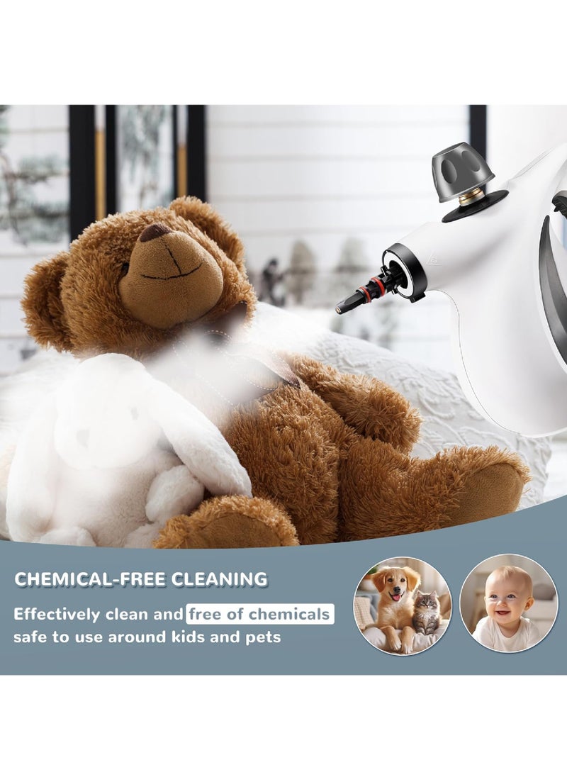 Handheld Steam Cleaner, Portable Steamer with Large Capacity,11-Piece Accessory Set for Floor, Car, Carpet, Upholstery, Couch, Tile, Windows Cleaning (Grey)