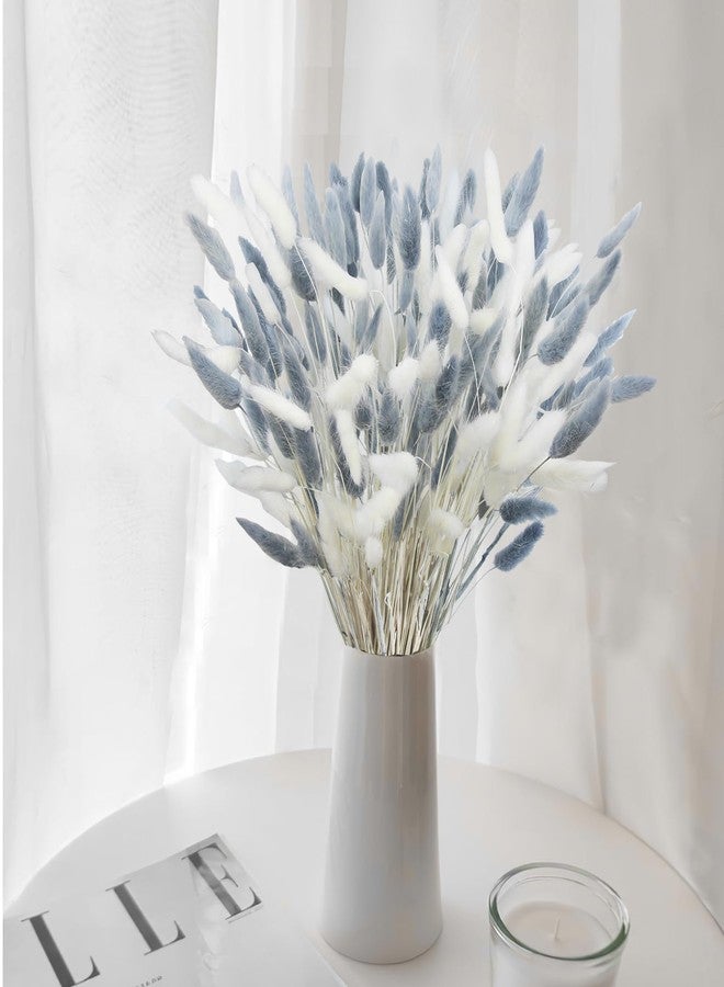 CITYES 120Pcs Dried Bunny Tails Flower Lagurus Ovatus Natural Dried Flowers Rabbit Tail Grass Gray and White Dried Pampas Grass Dried Floral Arrangement for Boho Decor Wedding Home DIY Farmhouse Table - Image 3