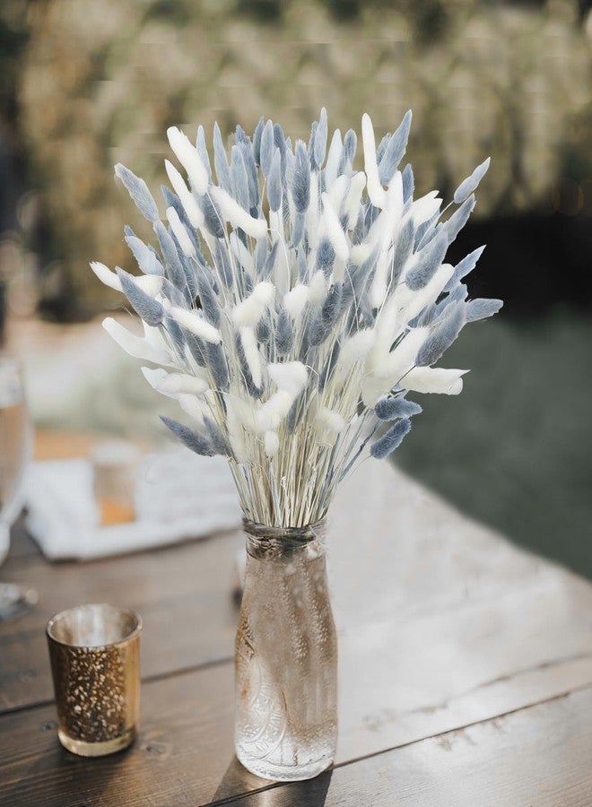 CITYES 120Pcs Dried Bunny Tails Flower Lagurus Ovatus Natural Dried Flowers Rabbit Tail Grass Gray and White Dried Pampas Grass Dried Floral Arrangement for Boho Decor Wedding Home DIY Farmhouse Table - Image 4