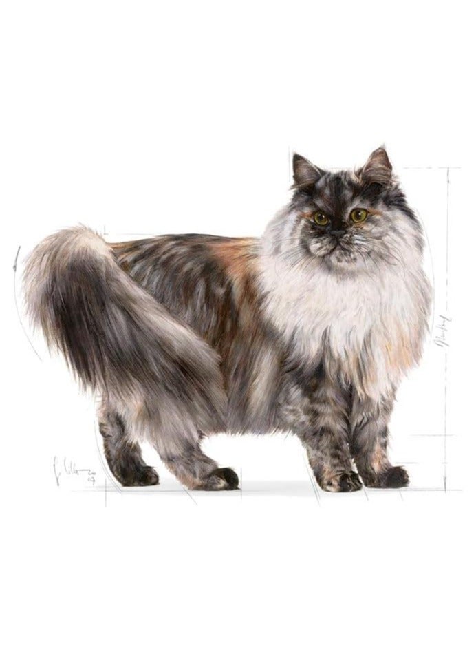 Royal Canin Feline Care Nutrition Intense Beauty Gravy 12x 85gm Cat Wet Food Pouches - Image 2