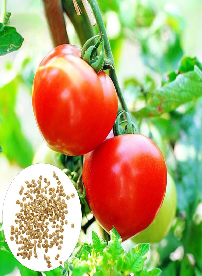GGOOT 50Pcs Vegetable Seeds Productive No Pesticide Clumping Mixed Natural Tomato Seeds Garden Accessories Bonsai Seeds Garden - Image 5