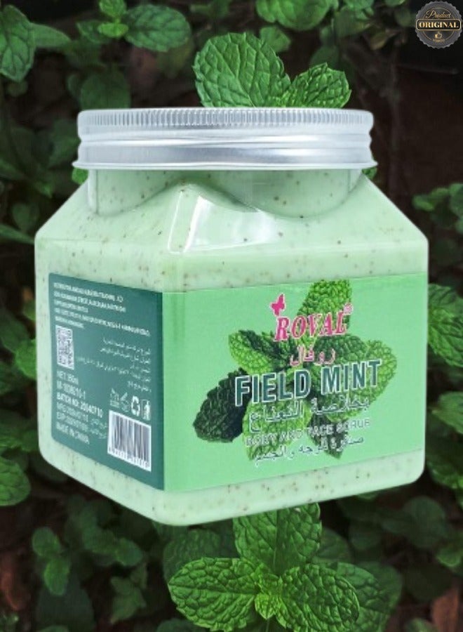 روفال 4 قطع مقشر للجسم والوجه بنكهة النعناع البري - Image 2