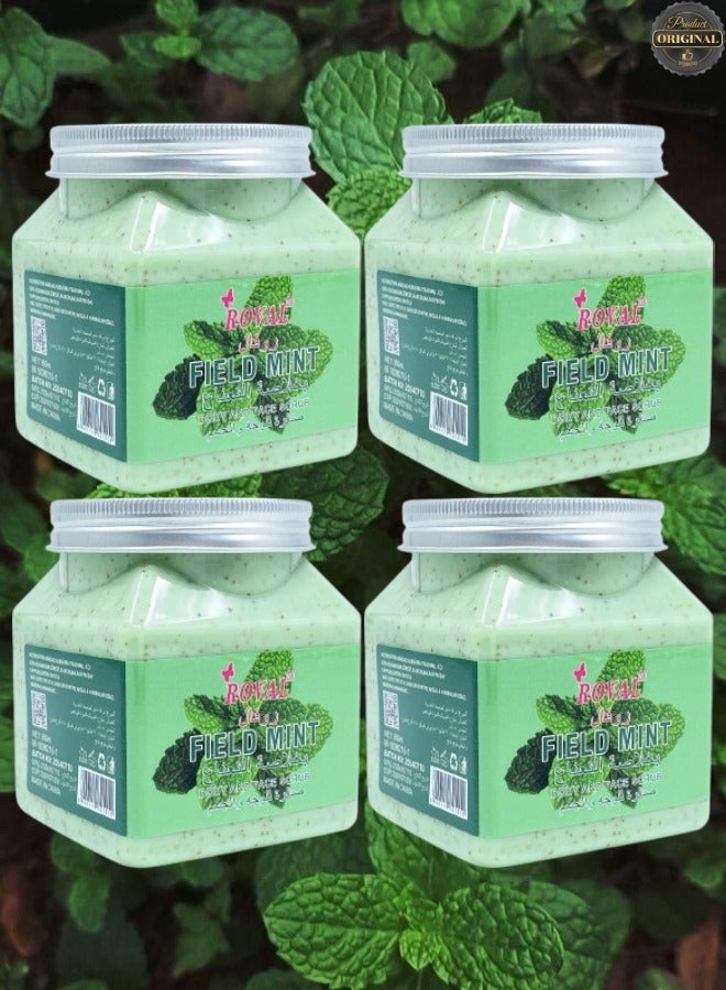 روفال 4 قطع مقشر للجسم والوجه بنكهة النعناع البري - Image 1