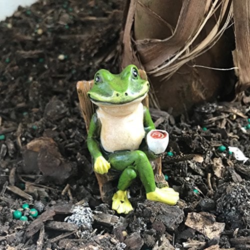 Patio Eden Miniature Frog Garden Statue - 2" Tall - Mini Outdoor Accessory Figurine for Fairy Garden - Image 4