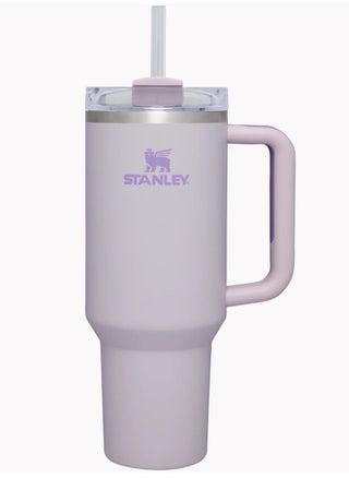 Stanley Quencher H2.0 FlowState Stainless Steel Vacuum Insulated Tumbler with Lid and Straw for Water, Iced Tea or Coffee, Smoothie and More, 40 oz - pzsku/ZC80FC34B838F47DA6E9BZ/45/_/1728402839/b0e2e3ba-4cd0-436e-ae0c-48996cc8558a