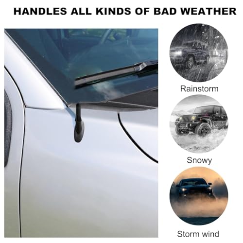 STHIRA® Car Short Antenna Decorative Car Antenna, 1.37" Sporty Carbon Fiber Stubby Antennas for Roof, Car Trunk - Image 5