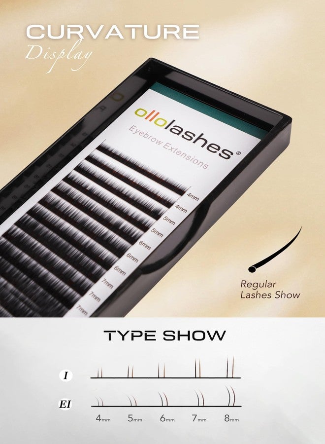 اولولاشز وصلات حواجب EI Curl 0.10mm Mix4-8mm 4mm 5mm 6mm 7mm 8mm لون أسود للاستخدام في الصالونات فقط (أسود Mix4-8mm 0.10 EI Curl) - Image 3