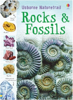 Rocks and Fossils 