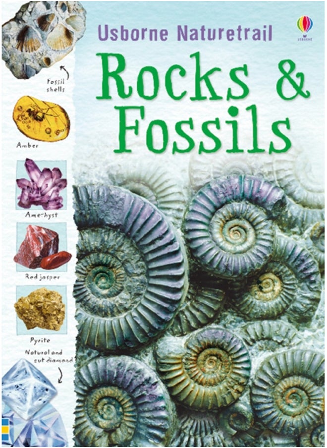 null - Rocks and Fossils - Image 1
