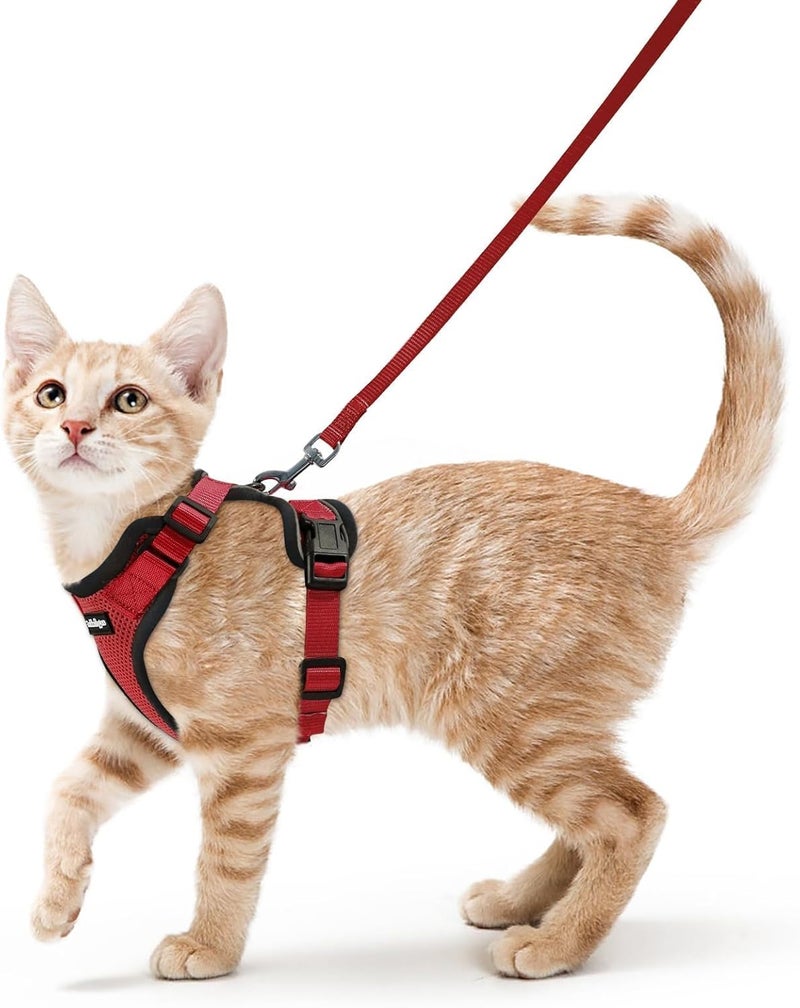 Rabbitgoo Cat Harness and Leash for Walking, Escape Proof Soft Adjustable Vest Harnesses for Cats, Easy Control Breathable Reflective Strips Jacket, Red, S | Soft Breathable Mesh, No-choke Adjustable Fit, Snap Buckles, Sturdy Clip, Reflective Strips, for Average Adult Cats Walks - Image 1