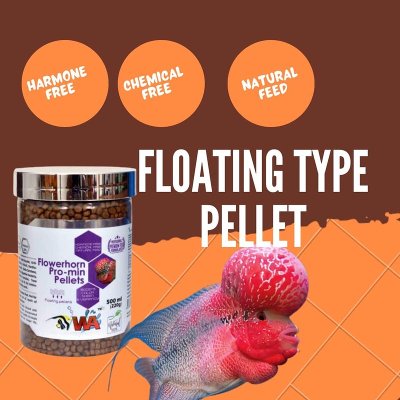 VAYINATO Wa Flowerhorn Pro-Min Pellets Fish Food,500Ml(220G)|Boosts Color Sheen&Vibrancy|Floating Pellets - Image 5