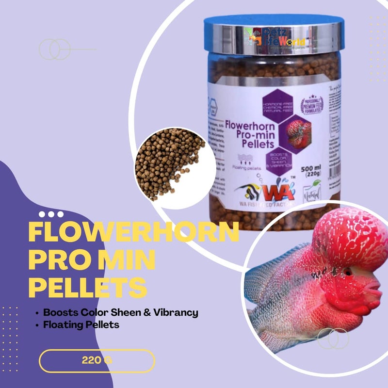 VAYINATO Wa Flowerhorn Pro-Min Pellets Fish Food,500Ml(220G)|Boosts Color Sheen&Vibrancy|Floating Pellets - Image 2