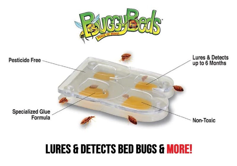 BuggyBeds BuggyBeds Bed Bug Glue Traps, 4 Counts - Image 3
