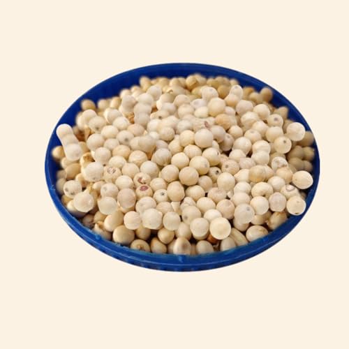 Neotea Vellai Kundumani Gulugunji Ratti Seeds | Abrus Precatorius White Variety | 100GM | Natural, Raw & Unprocessed Seeds | Ideal for Traditional and Research Use | No Additives or Preservatives - Image 5