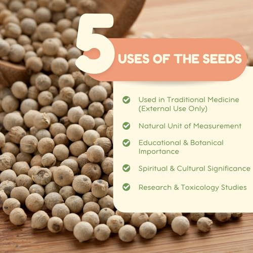 Neotea Vellai Kundumani Gulugunji Ratti Seeds | Abrus Precatorius White Variety | 100GM | Natural, Raw & Unprocessed Seeds | Ideal for Traditional and Research Use | No Additives or Preservatives - Image 2
