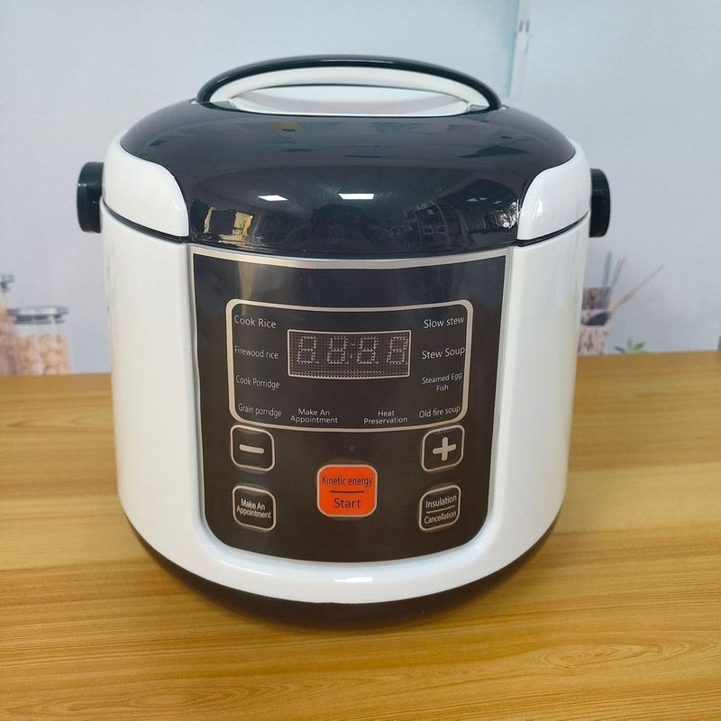 Domary Small Electric Rice Cooker Portable Mini Travel Keep Warm Function 2L for 2‑4 People (24V) - Image 3