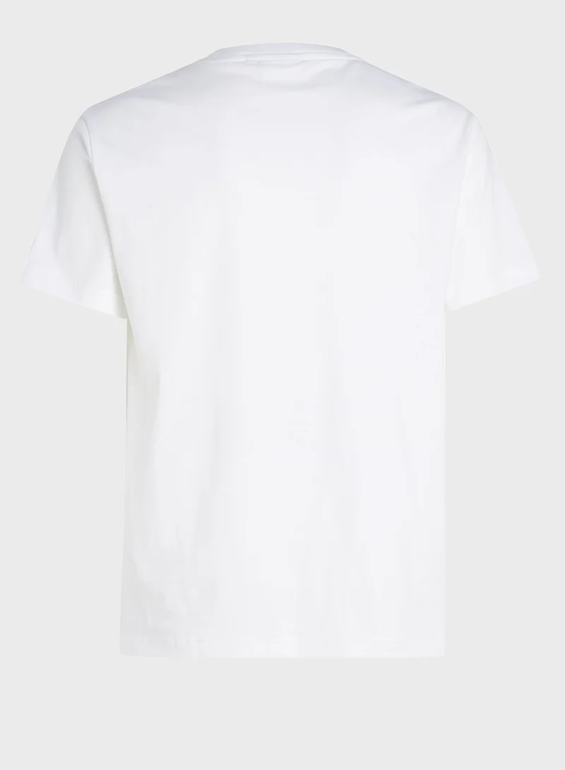 CALVIN KLEIN Flock Logo Crew Neck T-Shirt