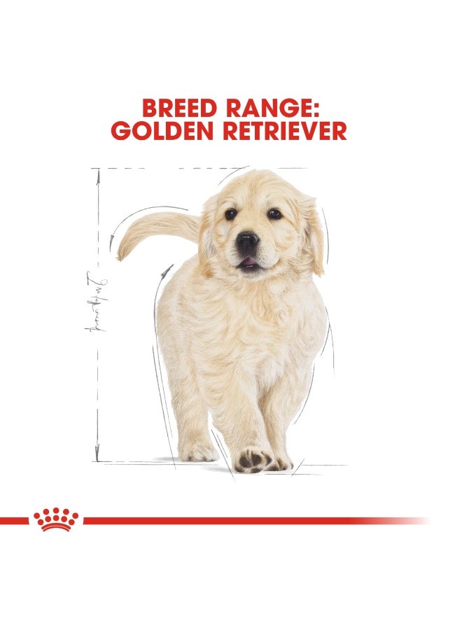 Royal Canin Breed Health Nutrition Golden Retriever Puppy Dry Food Bag 12KG - Image 5