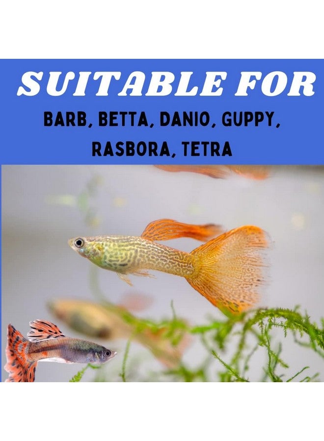 VAYINATO Aquatic Remedies 30g Gene Eleven Slow Sinking Micro Pellets for Tetra, Guppy, Barb and Betta Feed | 0.6 mm, 46% Protein - Image 5