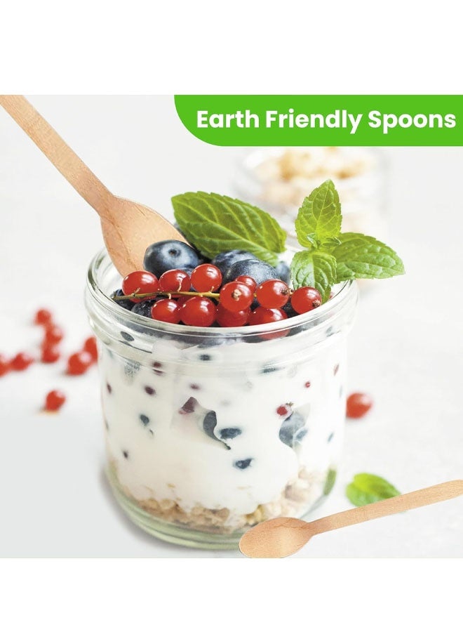 ملاعق خشبية للاستخدام مرة واحدة، 50 ملعقة، أدوات مائدة قابلة للتحلل الحيوي والتسميد - Image 4