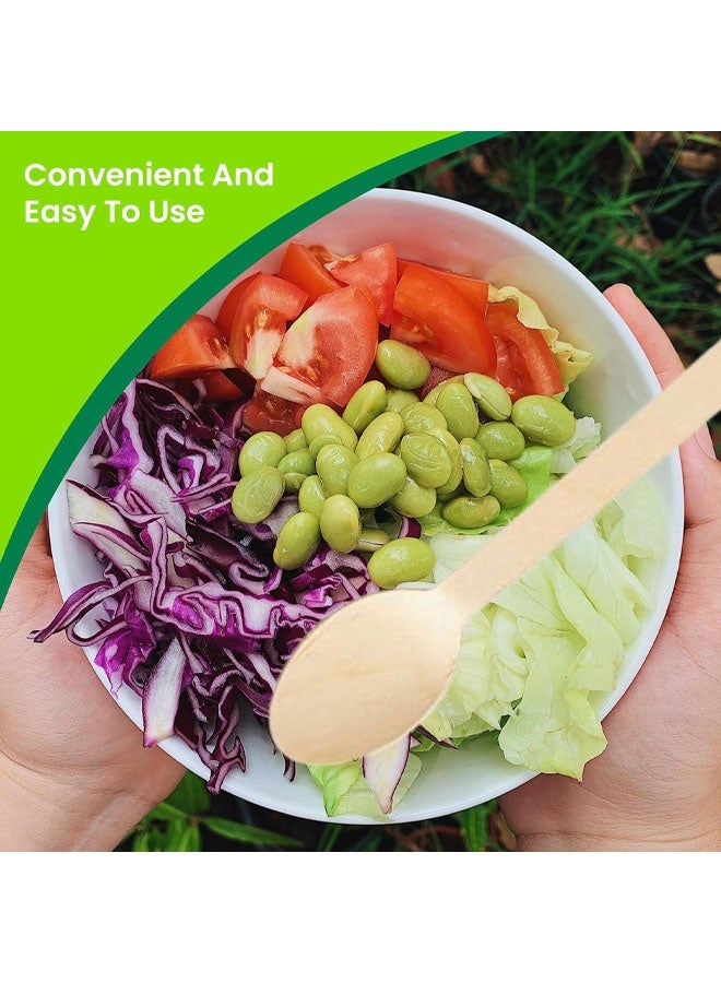 ملاعق خشبية للاستخدام مرة واحدة، 50 ملعقة، أدوات مائدة قابلة للتحلل الحيوي والتسميد - Image 2