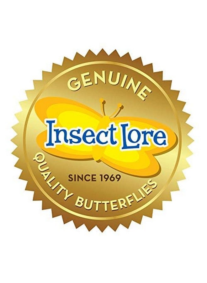 Insect Lore Insect Lore Butterfly Garden | 5 Live Baby Caterpillars | Habitat, Feeder, Chrys-A-Lid Log, STEM Journal Included | Raise and Release Painted Lady Butterflies - Image 5