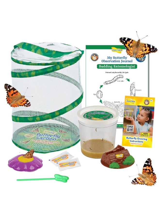 Insect Lore Insect Lore Butterfly Garden | 5 Live Baby Caterpillars | Habitat, Feeder, Chrys-A-Lid Log, STEM Journal Included | Raise and Release Painted Lady Butterflies - Image 1