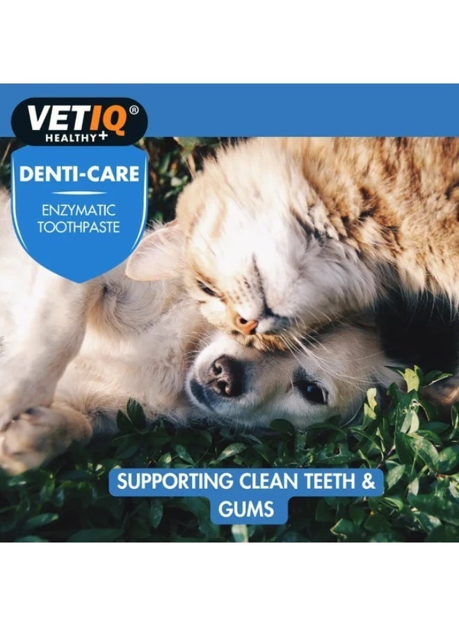 VetIQ Denti-Care Enzymatic Toothpaste for Dogs & Cats – 70g - Image 2