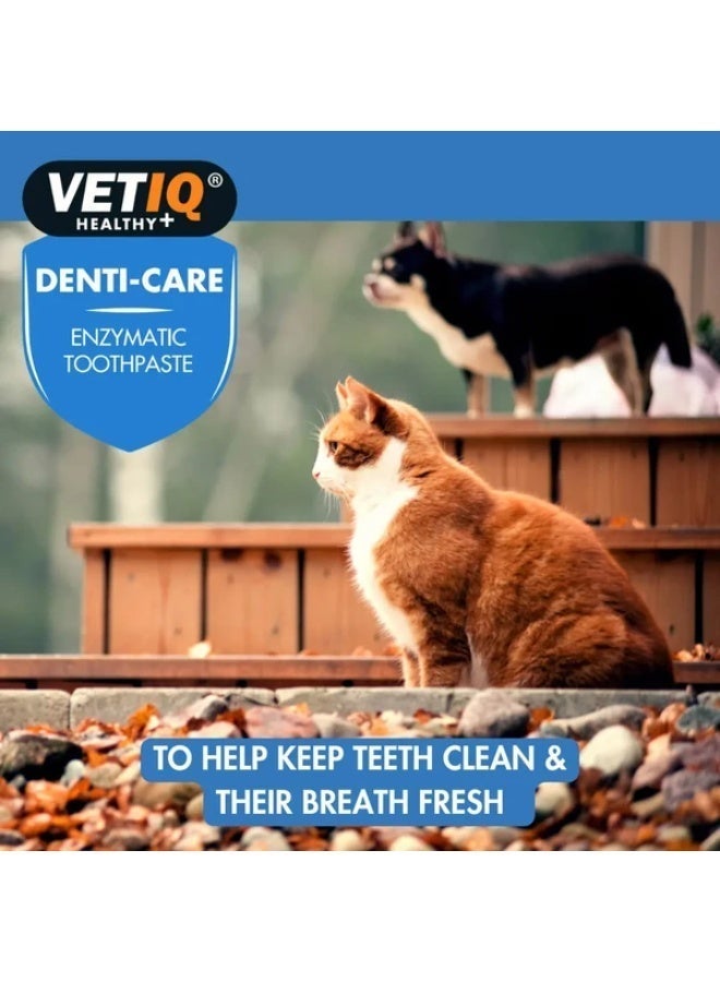 VetIQ Denti-Care Enzymatic Toothpaste for Dogs & Cats – 70g - Image 3