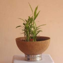 COIR GARDEN Coco Fiber Liner - USE Coir Liner- Basket Liner 12 INCH - 6 Pieces - Image 5