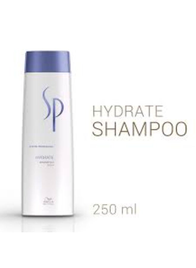 System Professional Sp Hydrate Shampoo 250ml - Image 3