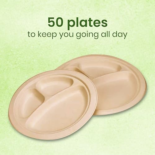 Origami 10 Inches Round Disposable Bagasse Paper Plates | Strong, Eco Friendly & Biodegradable Paper Plates | Perfect for Parties, Picnics & Festive Occasions - Pack of 50 Pcs - Image 5