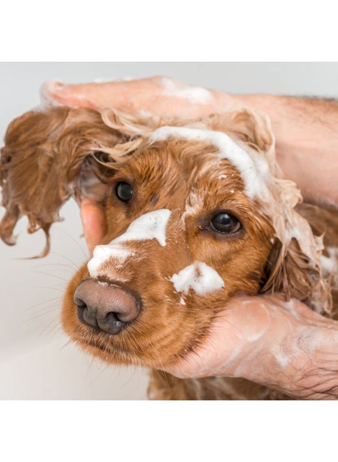 SynergyLabs Synergy Labs VFCC Hot Spot & Itch Relief Medicated Conditioner 473ml (16oz) - Image 4