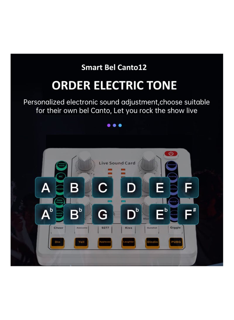 Generic Live Sound Card, Mini Audio Mixer Board for PC Computer Phone, Voice Changer Sound Card Fit for PS4, Xbox, Switch, DJ Mixer, Podcast for Music Recording Karaoke Singing Broadcast, Recording Card  - Image 5