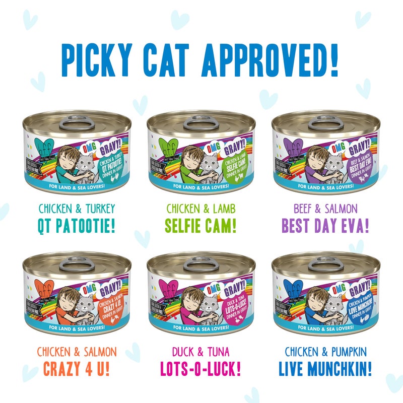 Weruva ويروفا ب.ف.ف. OMG - أفضل صديق للقطط أوه صلصالي!، مجموعة متنوعة، طريق قوس قزح، طعام رطب للقطط، علبة 2.8 أونصة (عبوة من 12) - Image 5