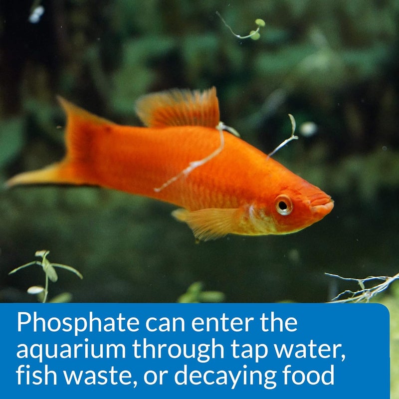 ايه بي آي مجموعة اختبار الفوسفات API Phosphate Test Kit، لاختبار مياه الأحواض المائية العذبة والمالحة، سعة العبوة: 64 أونصة - Image 5