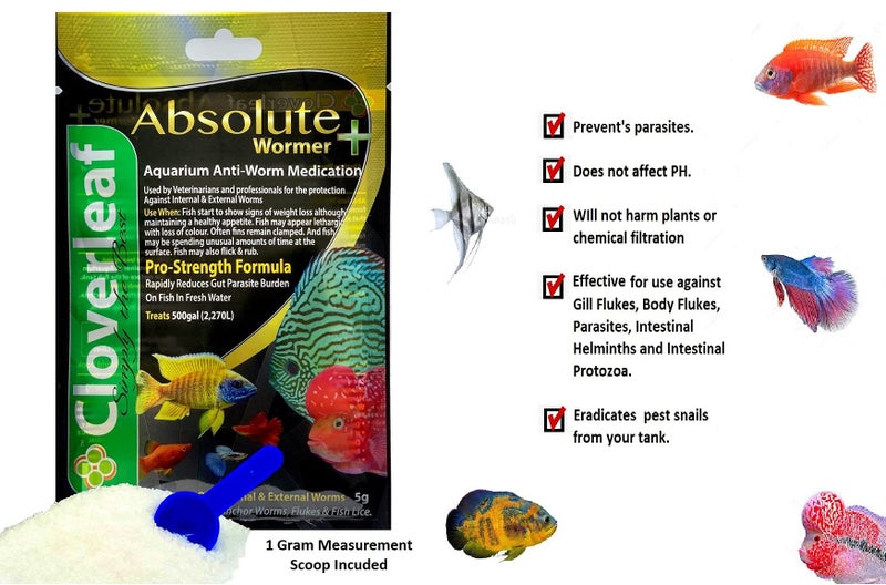 Absolute Wormer Plymouth Discus Product WORMER Plus - Freshwater and Saltwater Fish Powder Medication. with parasites and Flukes. (5G - Treats 600 GALLONS) - Image 2