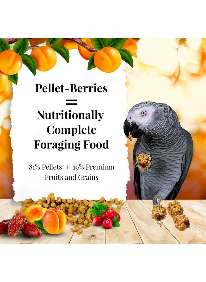 لافيبيرز طعام الطيور الأليفة الحبيبي من LAFEBER'S Pellet-Berries، مصنوع من مكونات غير معدلة وراثيًا ومناسبة للبشر، للببغاوات، 2.75 رطل  - Image 2