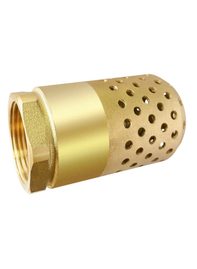 Brass Foot Valve 1 inch NPT Heavy Duty Spring Mesh Check Valve Female Connection One Way Foot Valve Backflow Preventer with Holes Strainer Filter for Well Jet Pumps Foot Valve - Image 1