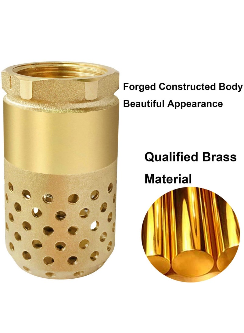 Brass Foot Valve 1 inch NPT Heavy Duty Spring Mesh Check Valve Female Connection One Way Foot Valve Backflow Preventer with Holes Strainer Filter for Well Jet Pumps Foot Valve - Image 2