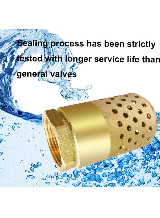Brass Foot Valve 1 inch NPT Heavy Duty Spring Mesh Check Valve Female Connection One Way Foot Valve Backflow Preventer with Holes Strainer Filter for Well Jet Pumps Foot Valve - Image 4