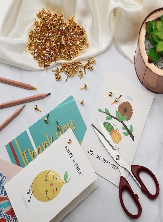 Peeplvalue مجلد ملفات عرض القيمة Peeplvalue بحجم A4 متعدد الألوان (عبوة من قطعتين) (50 جيبًا) - Image 4