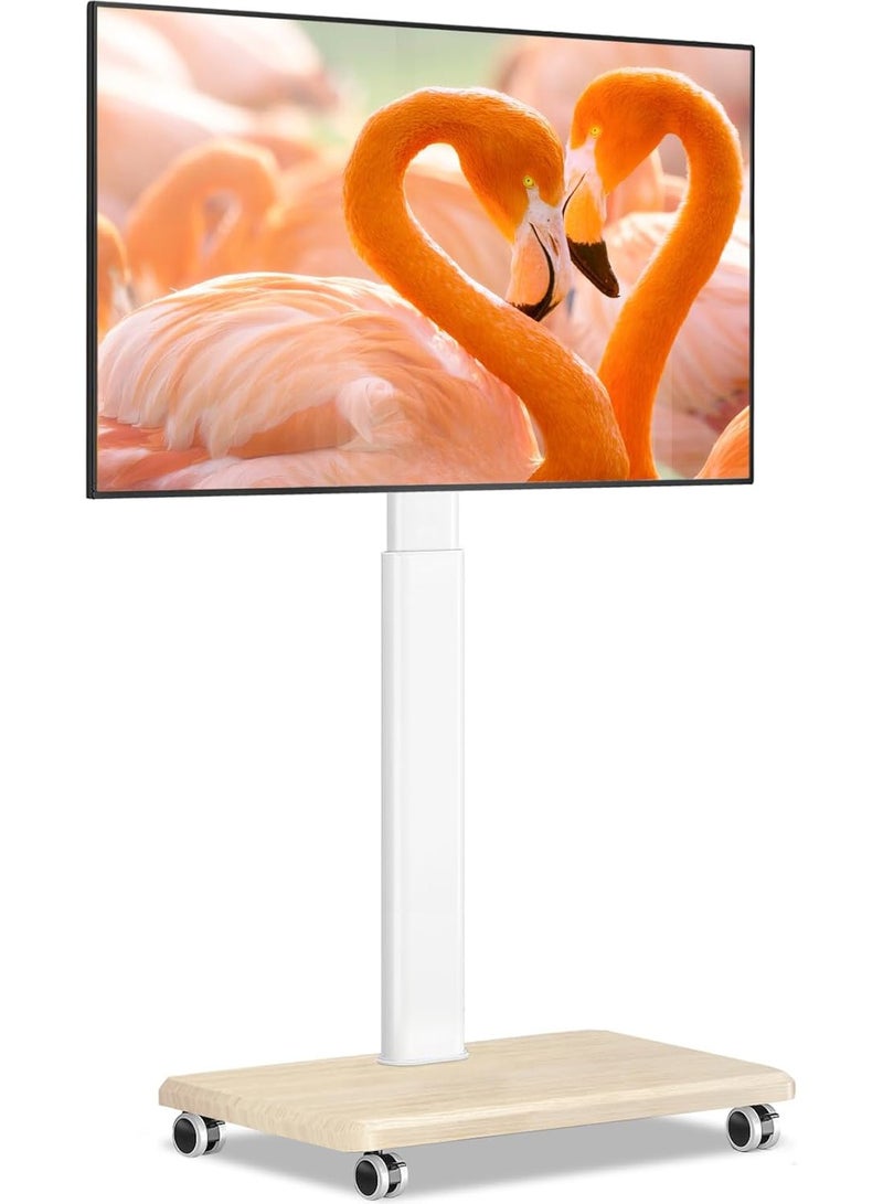 Chulovs Universal Rolling Floor TV Stand with Wheels: 80° Swivel, Height - Adjustable, Fits 32 - 75 Inch LCD/LED/OLED TVs, Supports up to 50 kg, Max VESA 600x400mm  - Image 1