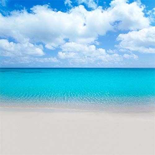 AOFOTO 10x10ft Sea Beach Photography Background Blue Ocean Backdrop Clear Sky Clouds Kid Girl Lovers Boy Adult Artistic Portrait Wedding Seaside Holiday Photoshoot Studio Props Video Drape Wallpaper - Image 1