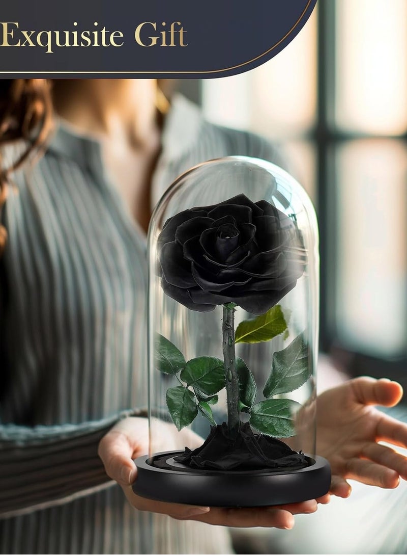 Festive Gallery Handmade Preserved Rose Forever Never Withered Flowers,Gift for Wedding,Birthday, Mother's Day Gift, Best Gift for Her Rose (Single Rose, BLACK) - Image 3