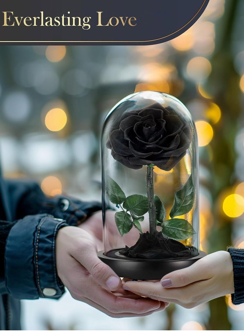 Festive Gallery Handmade Preserved Rose Forever Never Withered Flowers,Gift for Wedding,Birthday, Mother's Day Gift, Best Gift for Her Rose (Single Rose, BLACK) - Image 4
