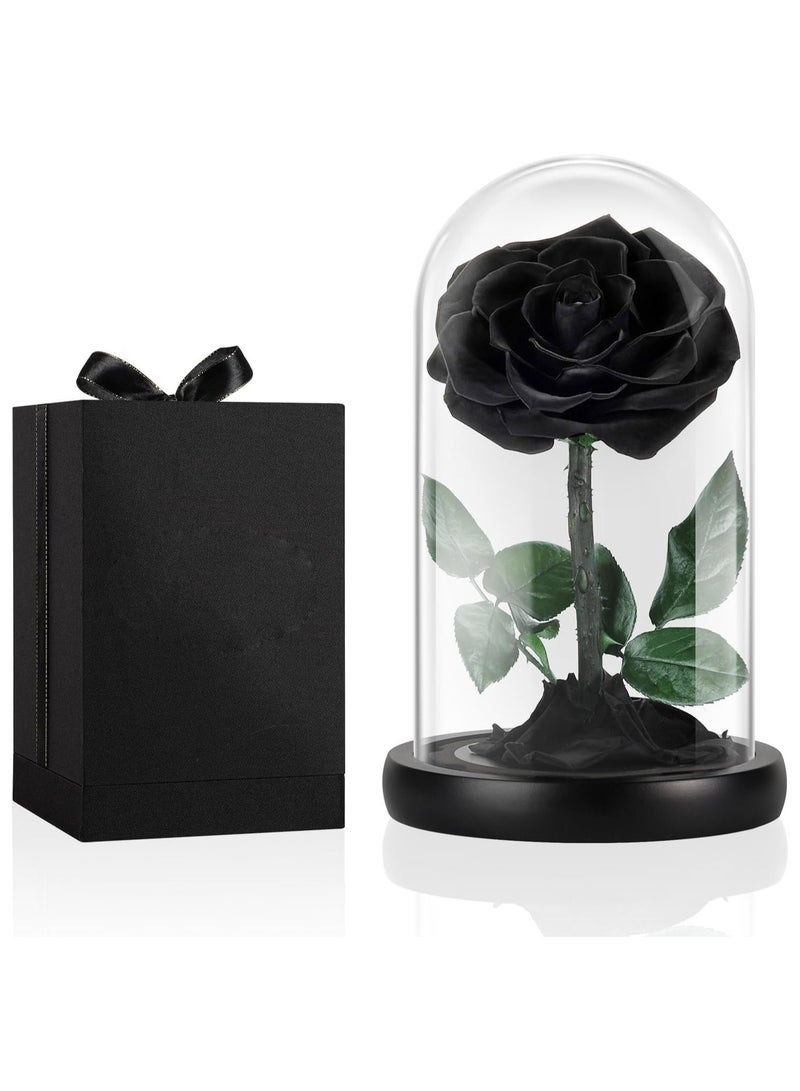 Festive Gallery Handmade Preserved Rose Forever Never Withered Flowers,Gift for Wedding,Birthday, Mother's Day Gift, Best Gift for Her Rose (Single Rose, BLACK) - Image 1
