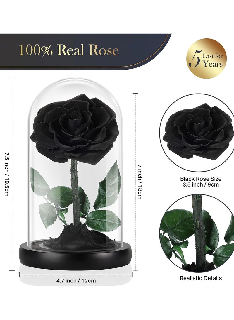 Festive Gallery Handmade Preserved Rose Forever Never Withered Flowers,Gift for Wedding,Birthday, Mother's Day Gift, Best Gift for Her Rose (Single Rose, BLACK) - Image 2