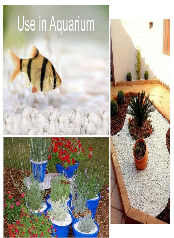 Quantum Retail - (2 kg) White Marble Chips for Garden, Aquarium, Indoor Outdoor Decoration Pebbles Stone,Decorative Stones, Vase Fillers, Landscaping - (Size:3mm-5mm) - Image 4